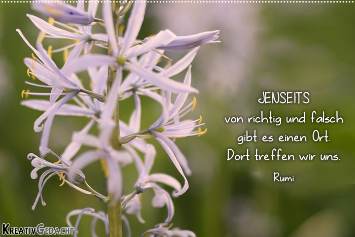 Das Lebens Verstehen Mit 20 Weisheiten Von Rumi Bettina Hielscher