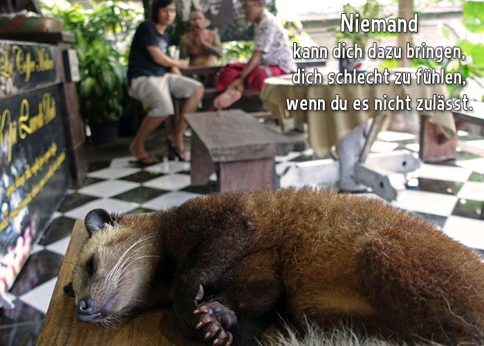 Get Schlechte laune schlechter tag sprueche Desktop Wallpaper