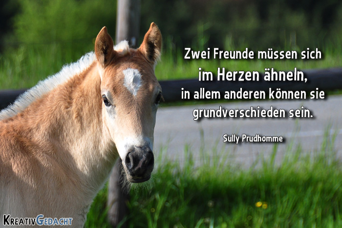 Freundschaft