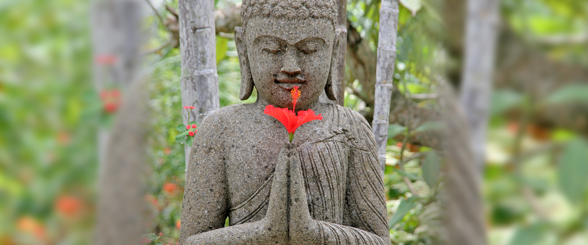 Ueber_Header-Buddha