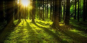 Innere Mitte Archive Bettina Hielscher